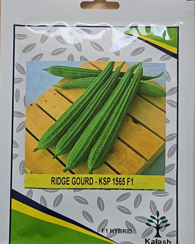 Hybrid Ridge Gourd Seeds