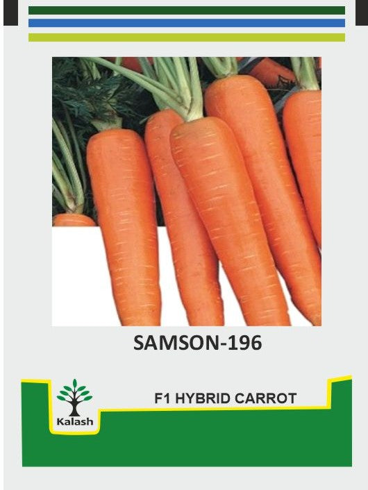 Carrot