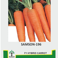 Carrot