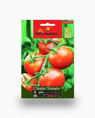 Cluster Tomato Agrimax Seeds – Souq Garden Dubai