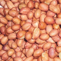 Ground nut