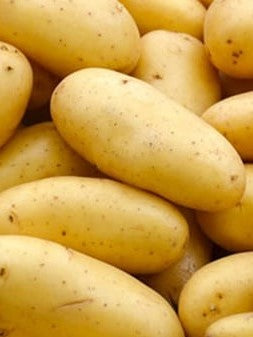 Potato