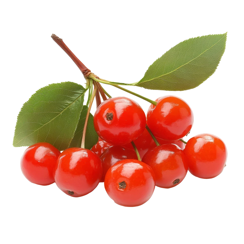 Barbados cherry