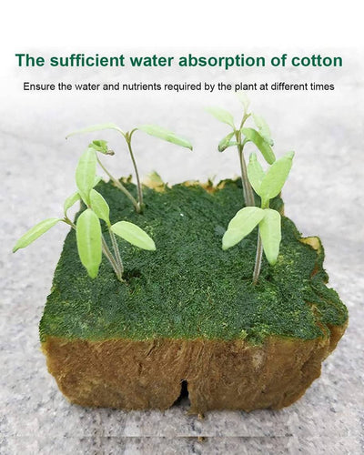 Hydroponic Rock Wool