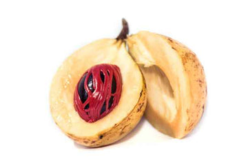 Nutmeg