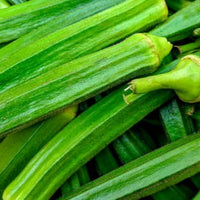 Ladies Finger(Okra)