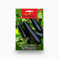 Long Black Eggplant Agrimax Seeds