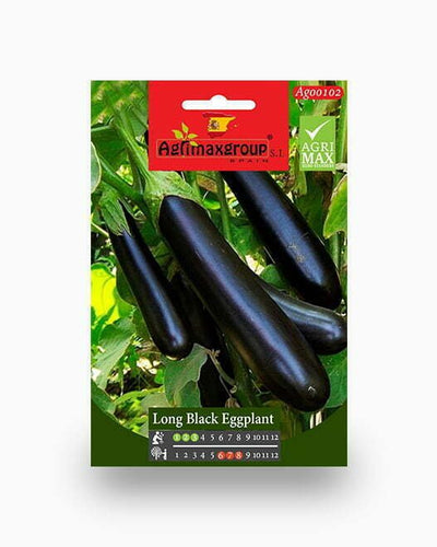 Long Black Eggplant Agrimax Seeds