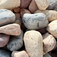 Omannia Waadi Mix - River Pebbles
