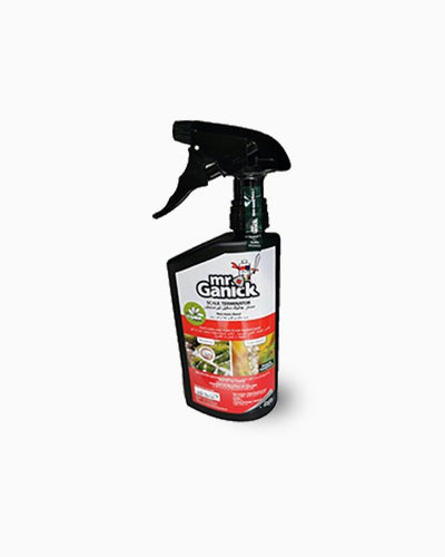 Organic Mealybug and Scale Terminator Spray
