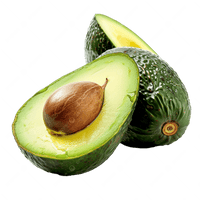 Avocado Tree