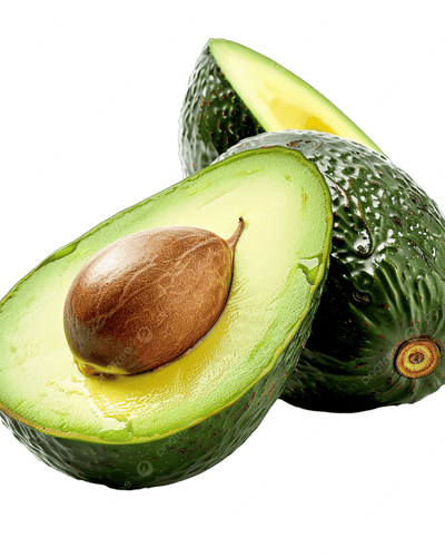 Buy Avocado Tree Dubai & UAE | Persea Americana – Souq Garden