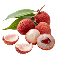 Litchi Plant