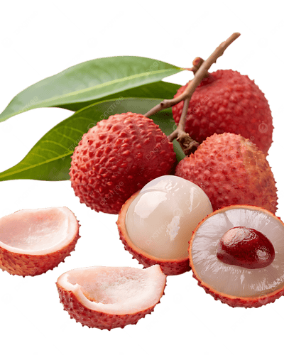Buy Litchi Plant Dubai & UAE | Lychee Fruit Tree – Souq Garden
