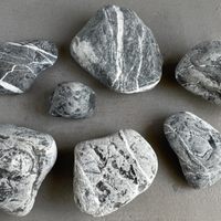 Forest Black - Tumbled Pebbles
