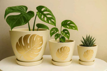 Terracotta Pots - 002