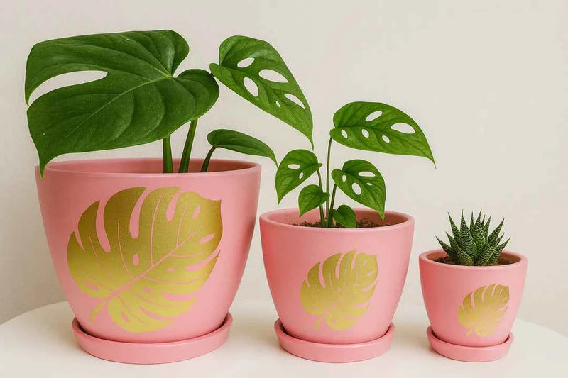 Terracotta Pots - 002